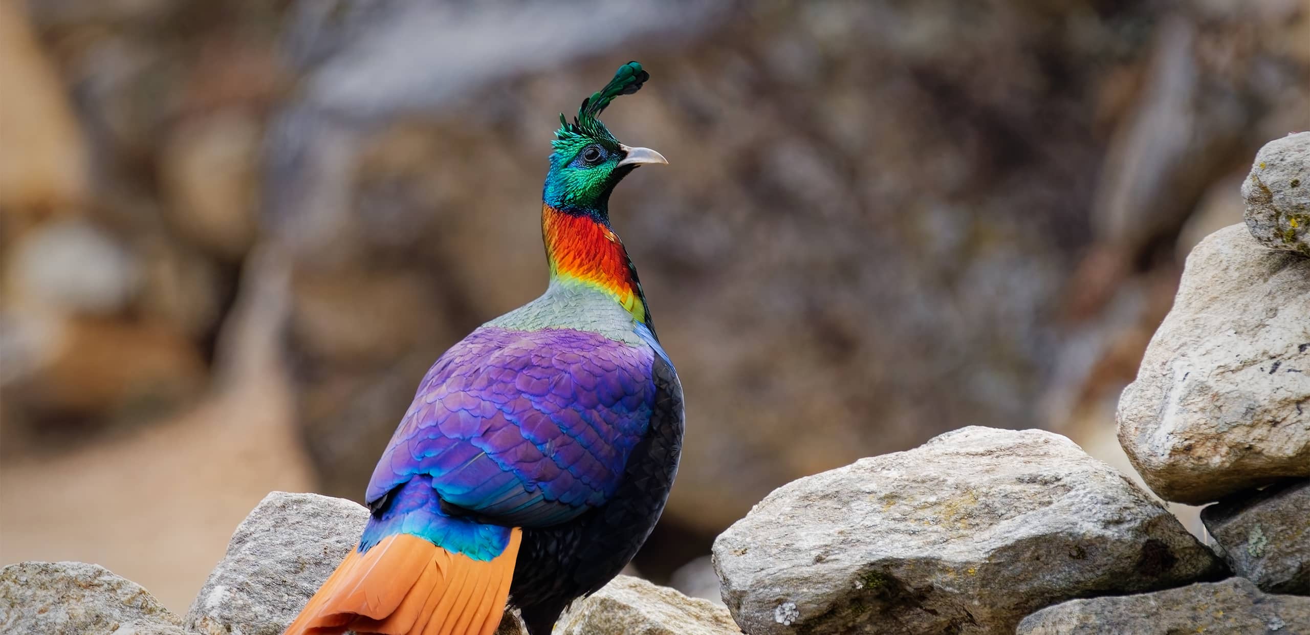 Nepal